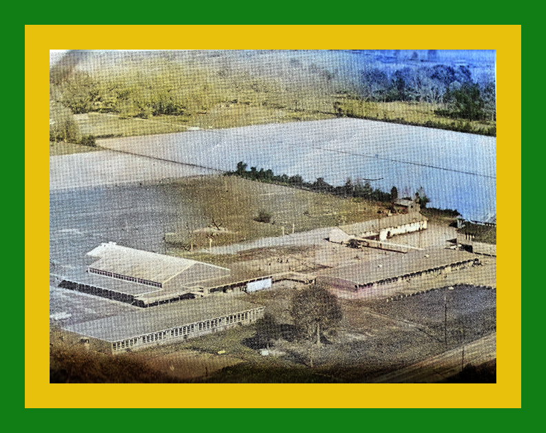 Plaisance High School, Plaisance, LA African American High Schools in